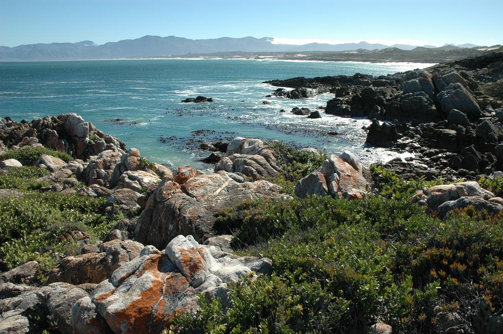 Cliff Lodge Gansbaai Exteriör bild